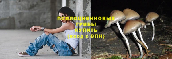 сатива Верея
