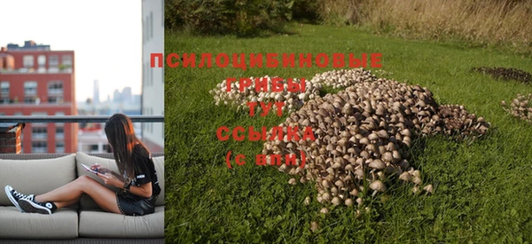 кокаин перу Вяземский