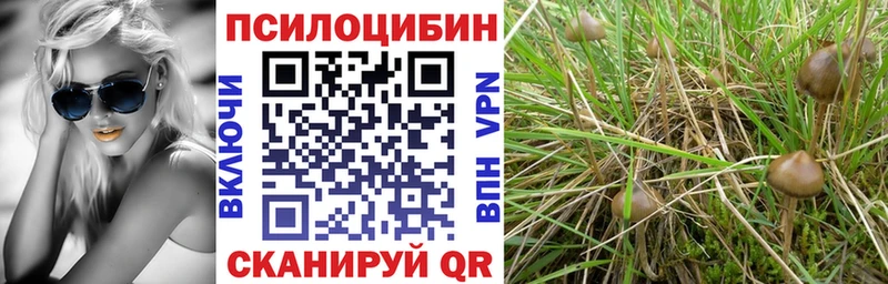 hydra как войти  Гусев  Галлюциногенные грибы мицелий 